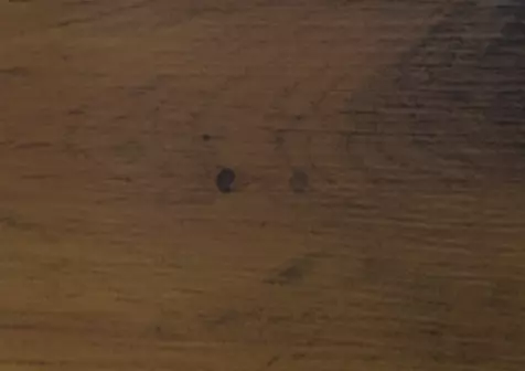 ALUCOSIGN Digital ACP panel for printing